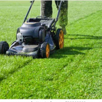 Cheap Grasscutting on Polonia and steeles