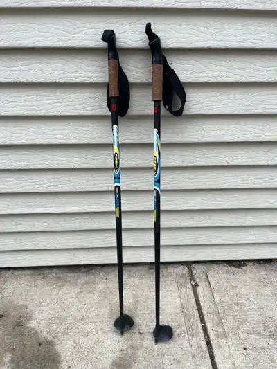 Kids cross country ski poles, View more