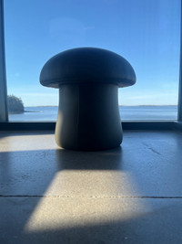 Shroom chairs *multiple coulors*