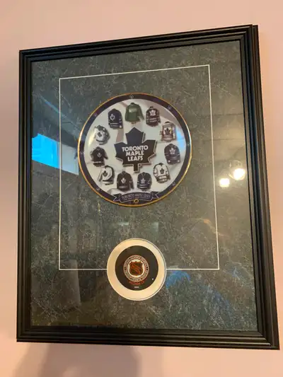 Beautifully framed hockey puck and plate , 22 1/2”by 18 1/2”, 75$ each