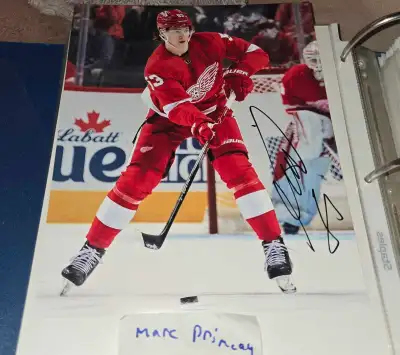Moritz Seider signed 8x10 photos Red Wings Hockey, View more