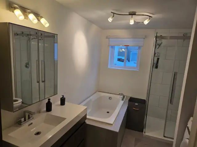 3½ Open-Concept Apartment