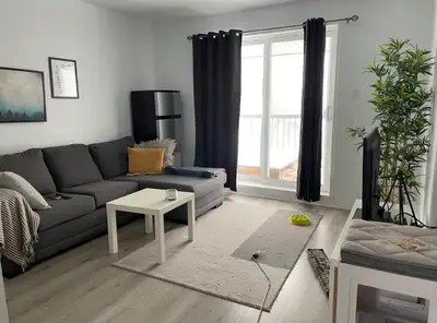Appartement 4 1/2 - 1er août- Lévis