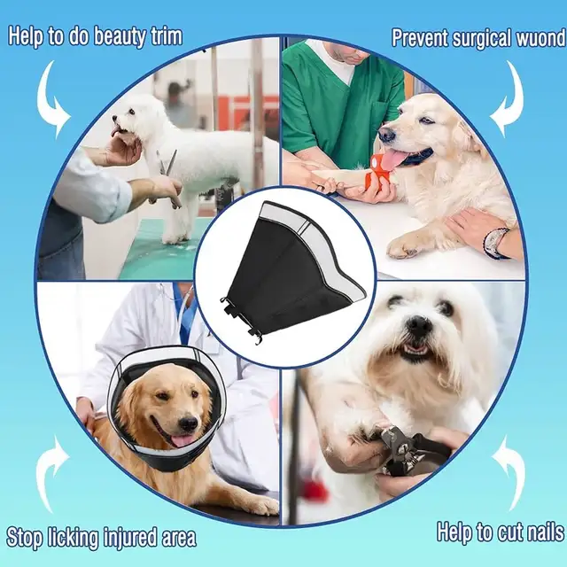 New Medium Dog recovery collar cone e-collar in Accessories in Brantford - Image 7