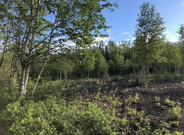 Close to town lot on Red Pineway in Land for Sale in Thunder Bay