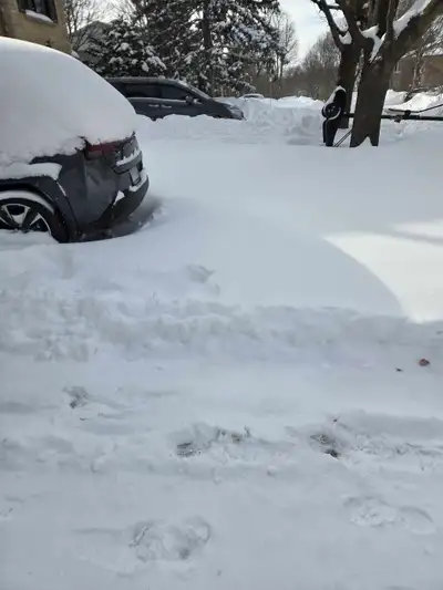 snowstorm Thursday 15cms ill shovel for you, View more