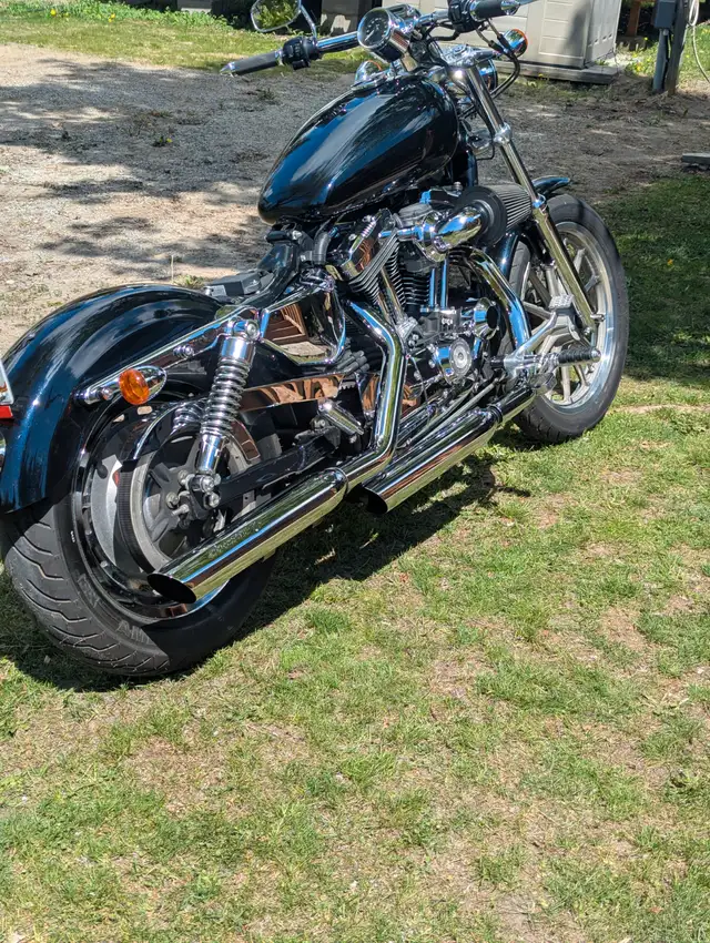 1200 CC Stage 2 Sportster in Street, Cruisers & Choppers in Kawartha Lakes - Image 3