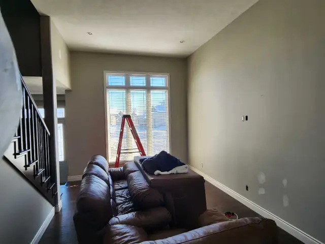 professional Painter 65585440938625121