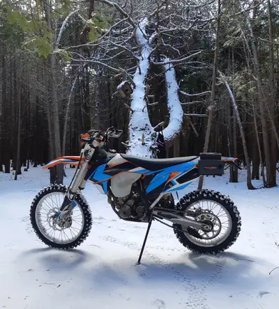 Bark Busters, Rubber Isolated handlebars, K&N air filter, Earth-X battery, removable chain saw mount...