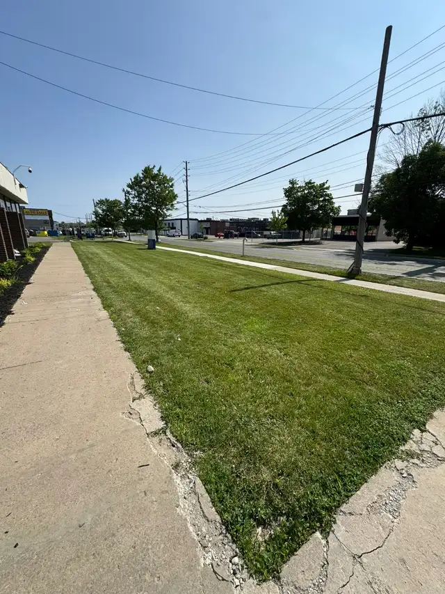 Professional Grass Cutting Service – Only $60 in Lawn, Tree Maintenance & Eavestrough in City of Toronto - Image 9