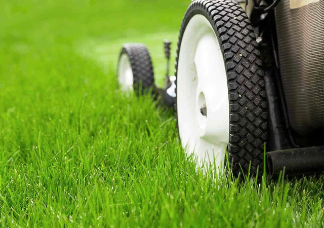 text for lawn cutting 519-808 4393 - London in Snow Removal & Property Maintenance in London