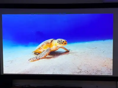 Dangbei Atom Projector + 120' EluneVision Screen + Fire Stick 4K, View more