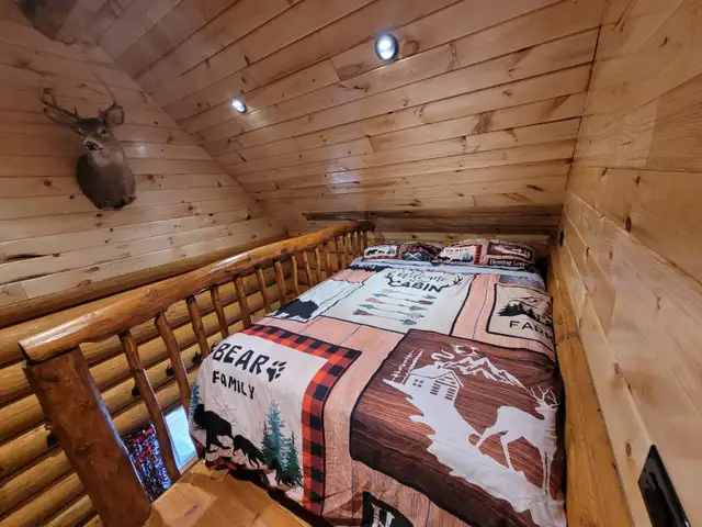 Bunkie cabins in Kenora - May-Sep 2026 in Ontario in Canada - Image 9