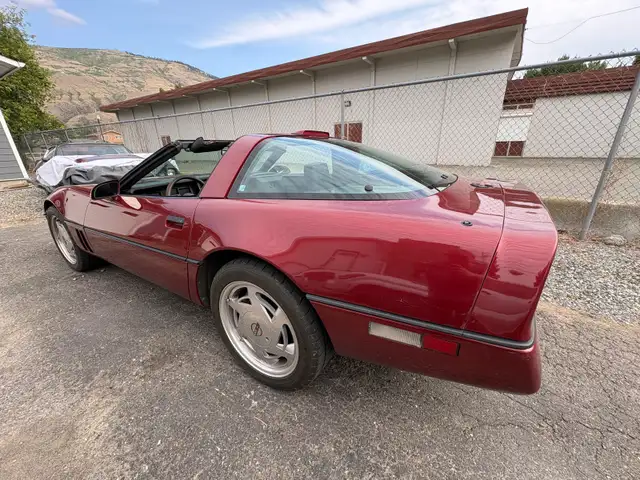 1988 Corvette582838544856535044