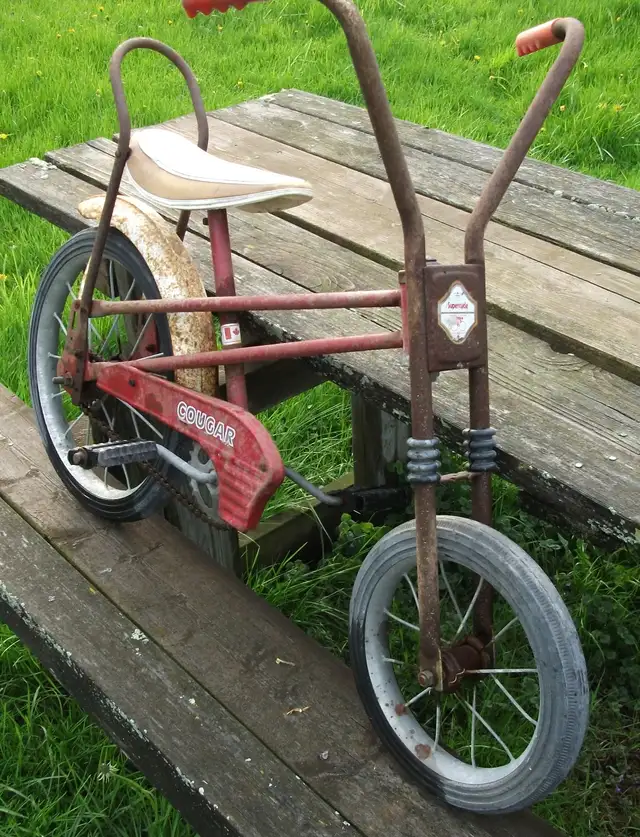 Vintage Cougar bike in Kids in Hamilton - Image 3
