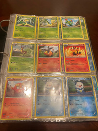 Huge Pokémon card lot