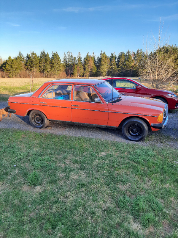 1980 mercedes 300d for sale Classic Cars Charlottetown Kijiji