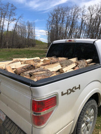 Spruce firewood-fast response