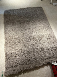 Shag Carpet. 4’ x 6’