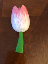 3 brand new Dutch tulip magnets