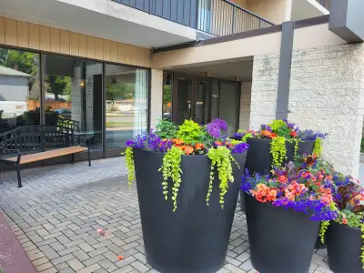 Super clean building and unit. Super quiet. Mostly seniors. Amenity Room. 2 doors away Building Laun...