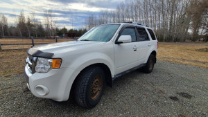 2010 Ford Escape