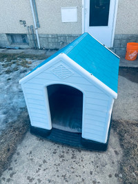 Dog house 