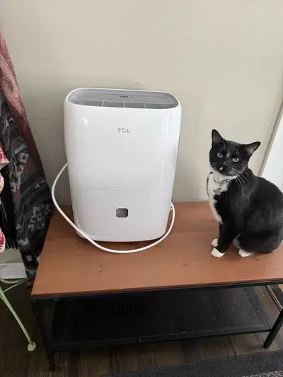 Dehumidifier 30quart (cat not included), View more