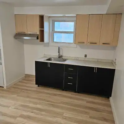 MAGNIFIQUE APPARTEMENT 6 1/2 RÉNOVÉ AVEC COUR PRIVÉE