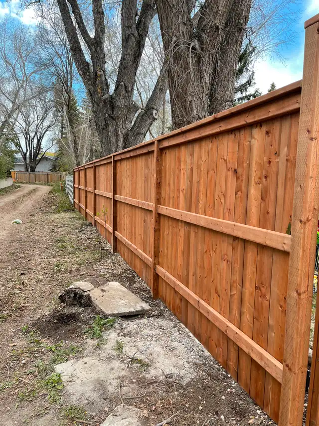 PROFESSIONAL FENCE BUILDER 306-979-913362864741561345121