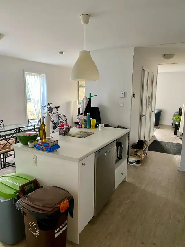 Colocation - 845$ in Room Rentals & Roommates in City of Montréal - Image 4