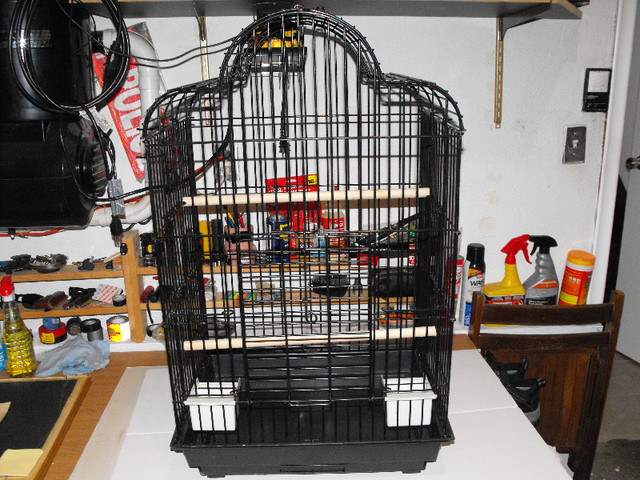 bird cage in Accessories in Kitchener / Waterloo