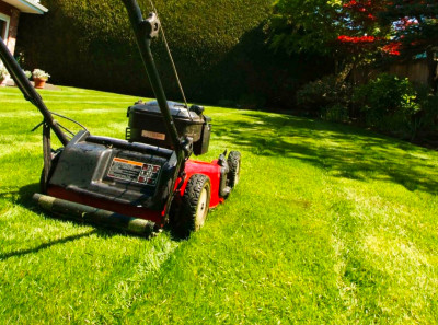 Lawn cutting for the best price !