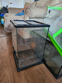 Terrarium for sale 