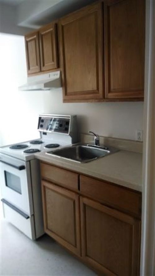 ÉDOUARD MONTPETIT/PRÈS POLY, UDM BEAU GRAND 3 ½ LIBRE DISPONIBLE — photo 1