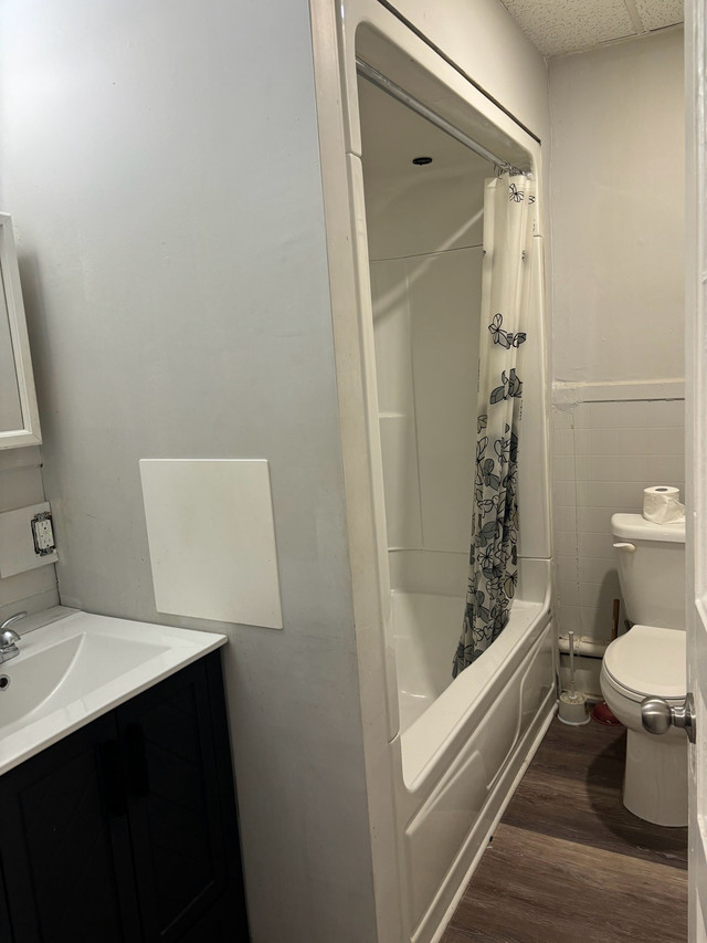 3 Bedroom Apartment in Downtown Tillsonburg. UTILITIES INCL in Long Term Rentals in Norfolk County - Image 4