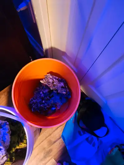 I have 45 and a half pounds of rock for sale just took out of my tank asking 4 bucks a pound for qui...