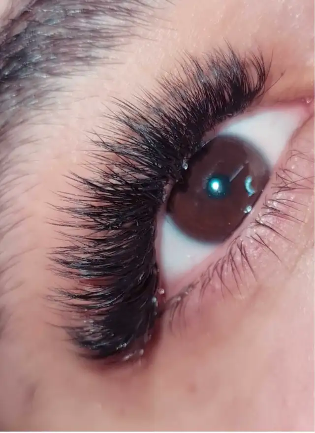 Eyelash extensions/lash & brows lift & tint63771525003009121