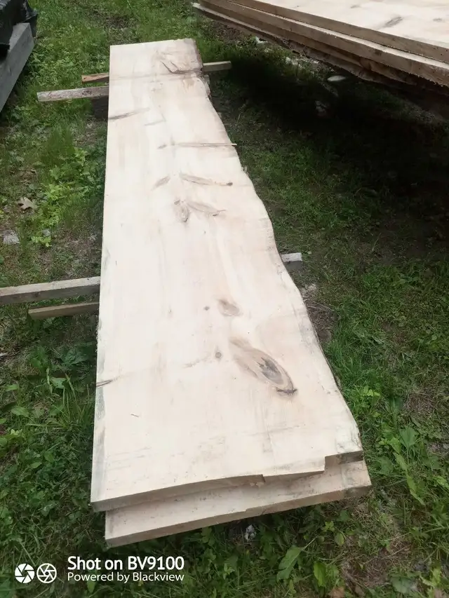 Live edge white pine in Hobbies & Crafts in Ottawa - Image 4