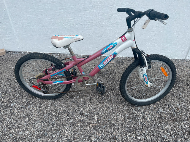 20 Inch Childs 5 Speed Bike (Fort Erie) in Kids in St. Catharines - Image 2