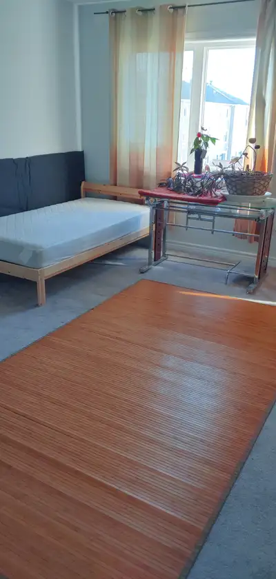 \*\*Private Bedroom + Private Bathroom — Furnished \& All-Inclusive — Orléans\*\* * **Available Now*...