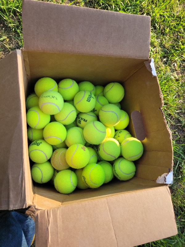 100 plus plus tennis balls ! Tennis & Racquet Owen Sound Kijiji
