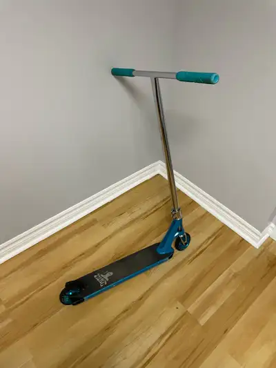 Custom Scooter, View more