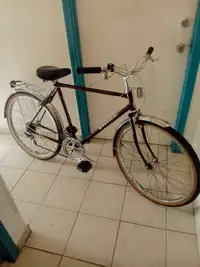 Commuter Bike - 1987 - Raleigh - Fit 5'8" to 5'9"