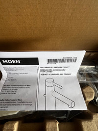 Moen Bathroom Faucet 