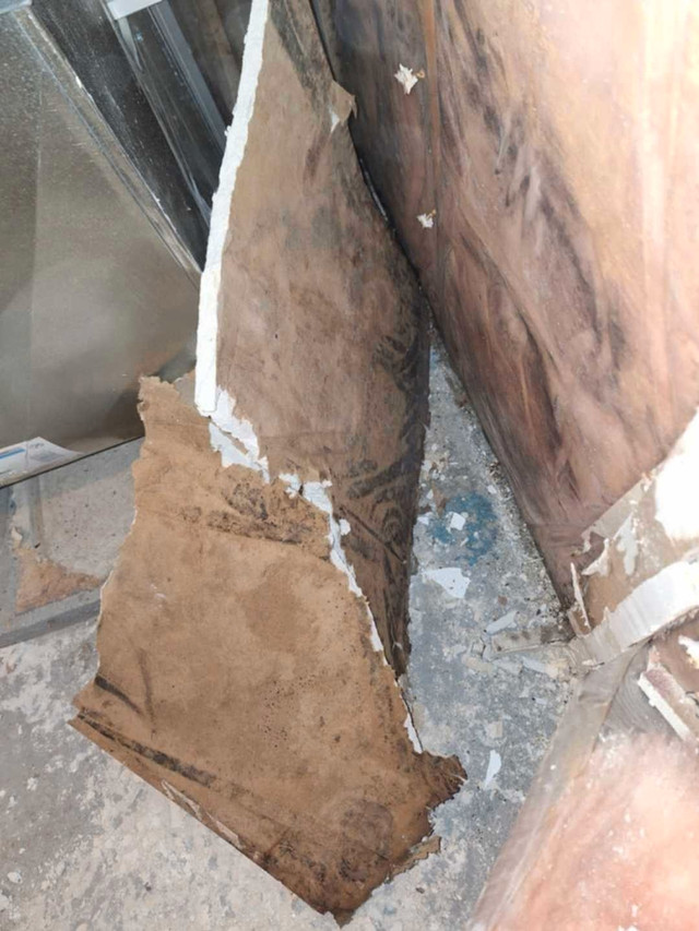 Mold Remediation/ Removal 705 313-6321  in Other in Oshawa / Durham Region - Image 4