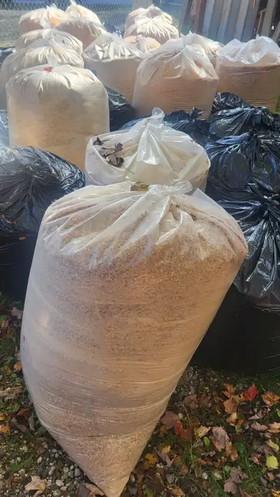 Wood chips available kiln dried pine, maple and poplar mix great for animal bedding shop spills ect....