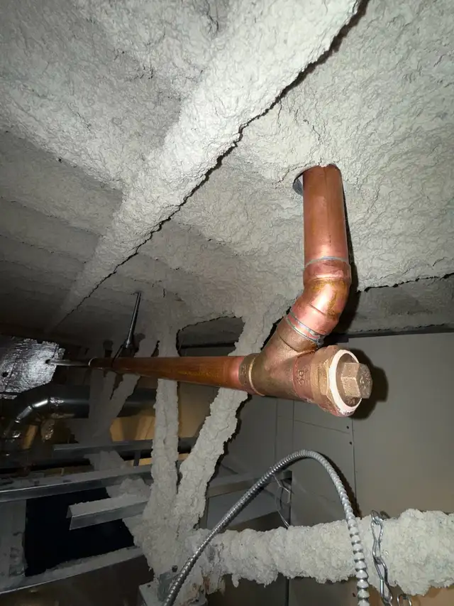 Plumber licensed 64374279906817122