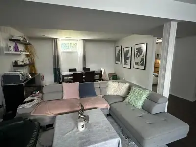 We are renting a room at our lower level apartment. The apartment has separate entrance 2 bedroom fu...