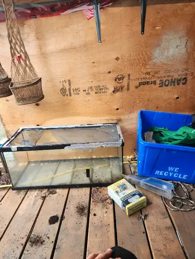 Fish tank and accessories , View more
